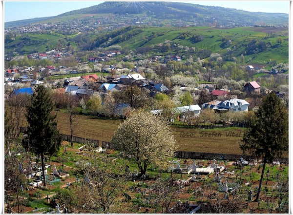 Vedere aeriană