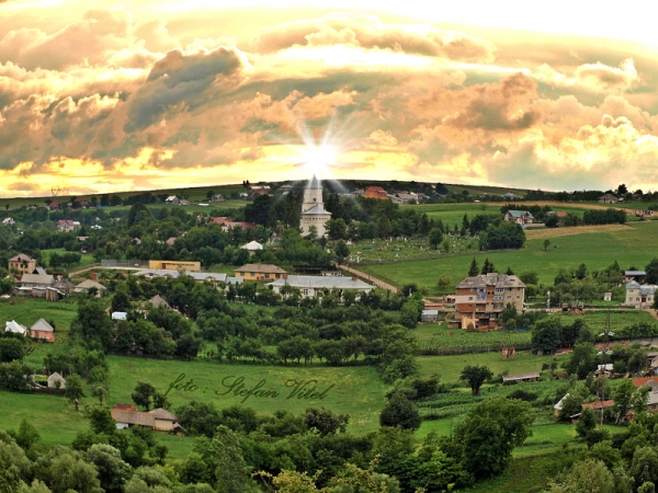 Vedere generală